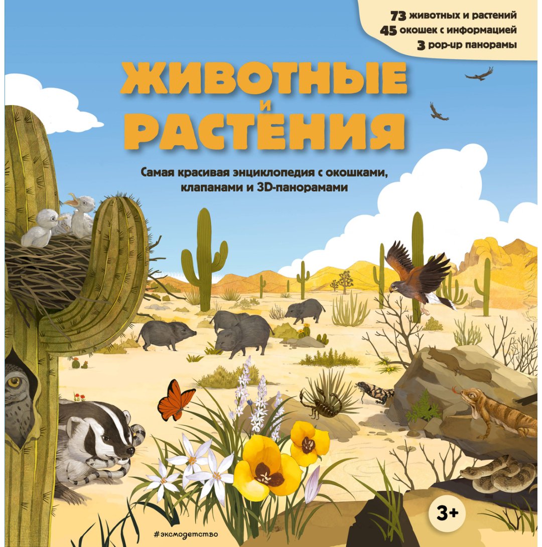 Книга Без автора: Животные и растения. Самая красивая энциклопедия с окошками, клапанами и 3D-панорамами купить,NaN