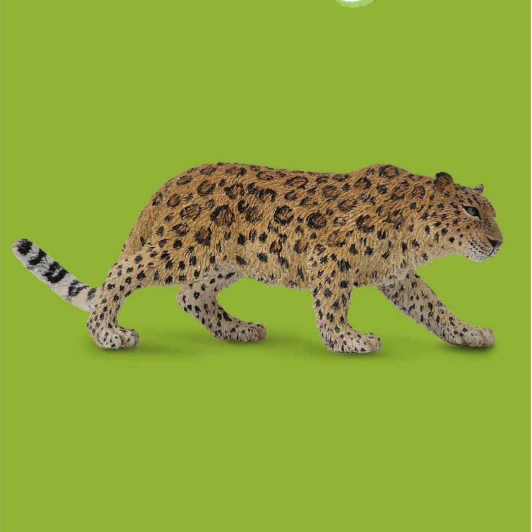 Collecta Амурский леопард 5 см 1 шт купить,NaN