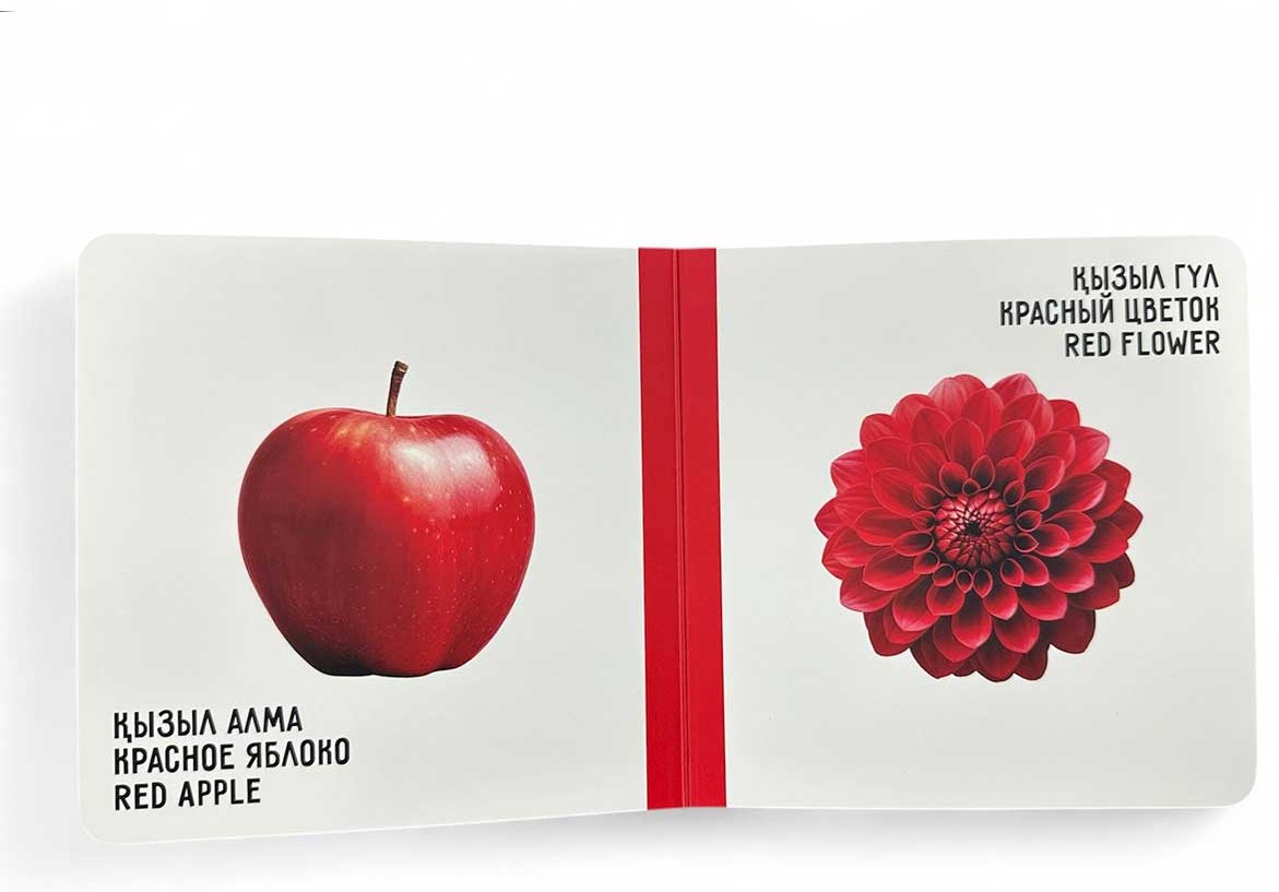 Книга Без автора: Түстер. Цвета. Colours купить,NaN