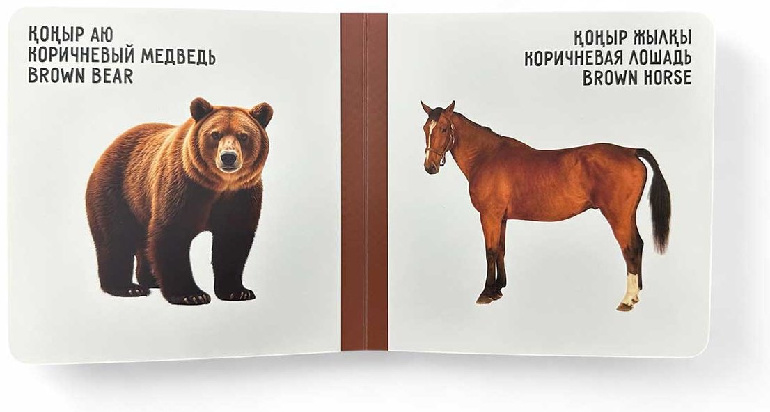 Книга Без автора: Түстер. Цвета. Colours купить,NaN