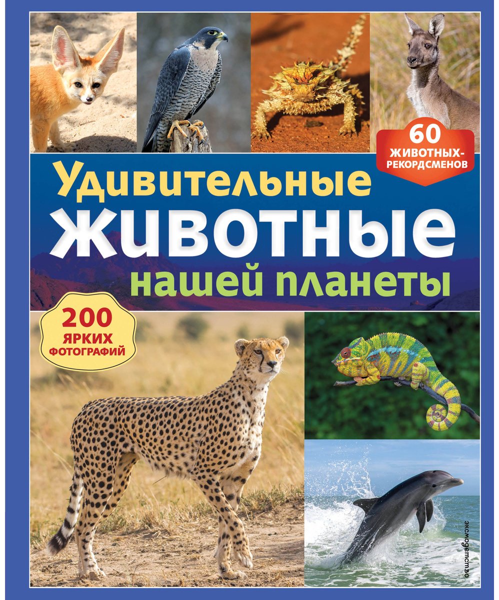 Книга Нет автора: Удивительные животные нашей планеты купить,NaN
