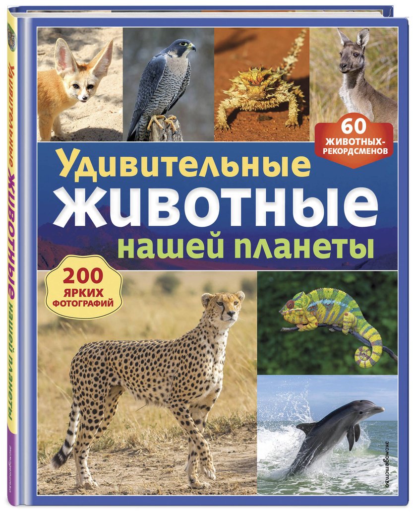Книга Нет автора: Удивительные животные нашей планеты купить,NaN