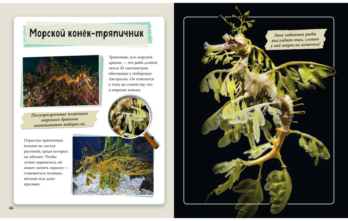 Книга Нет автора: Удивительные животные нашей планеты купить,NaN