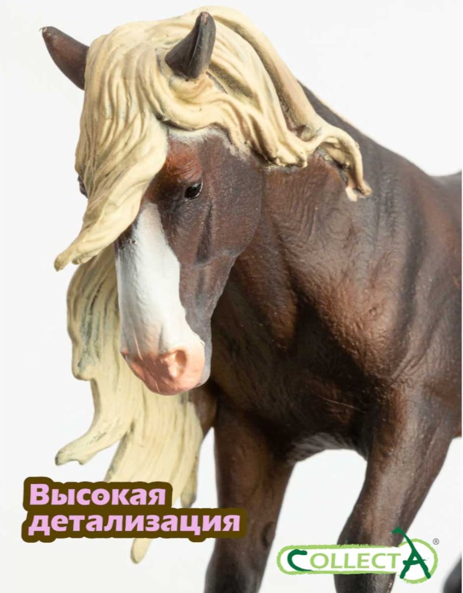 Collecta Блэк-форрест жеребец 10.7 см 1 шт купить,NaN