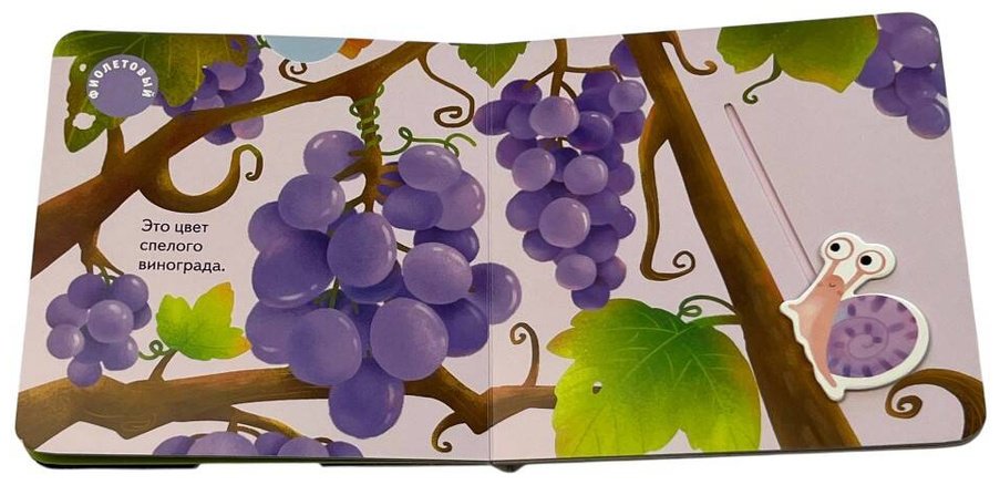 Книга Разные цвета купить,NaN