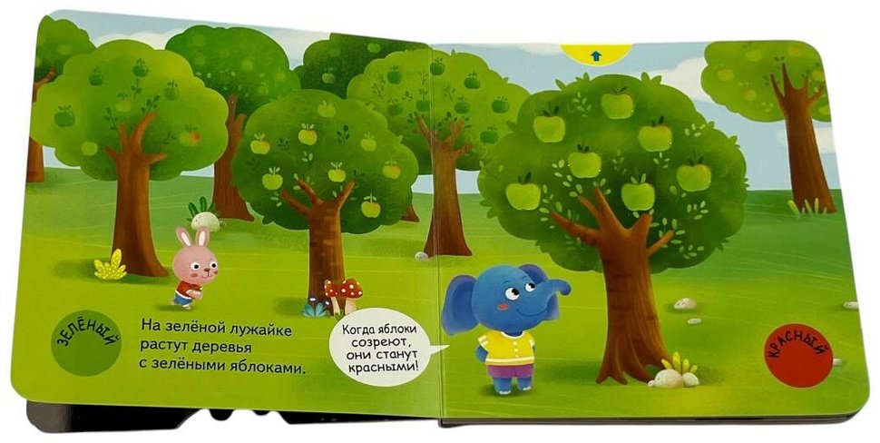 Книга Разные цвета купить,NaN