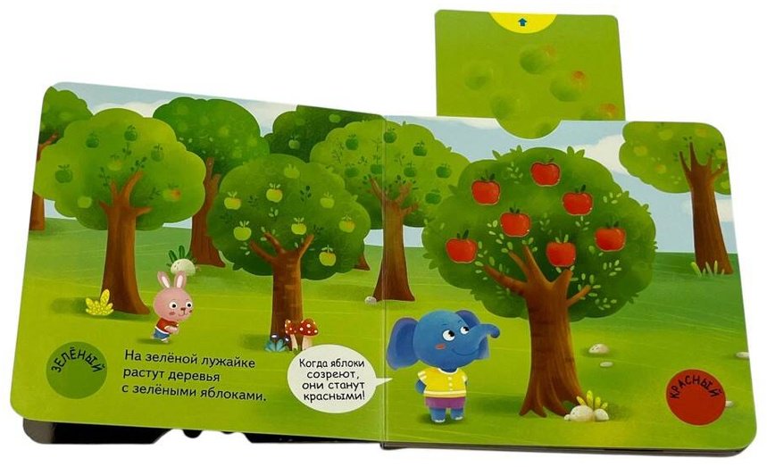 Книга Разные цвета купить,NaN
