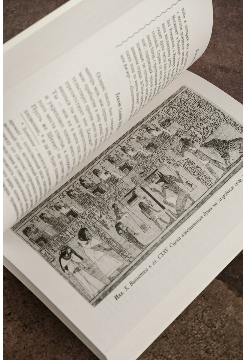 Книга Бадж Э. А. У.: Египетская книга мертвых купить,NaN