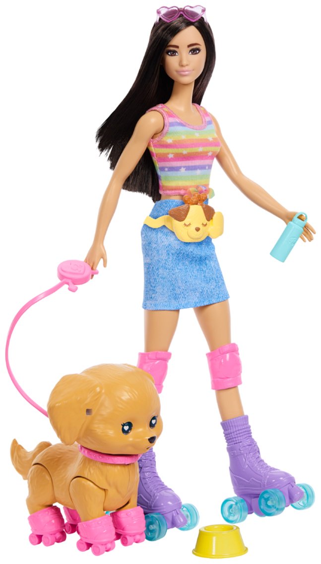 Кукла-модель Barbie Skate and Run Pup 29 см купить,NaN