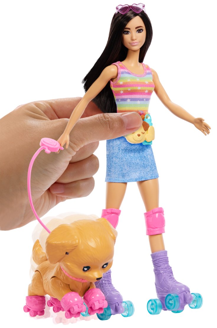 Кукла-модель Barbie Skate and Run Pup 29 см купить,NaN