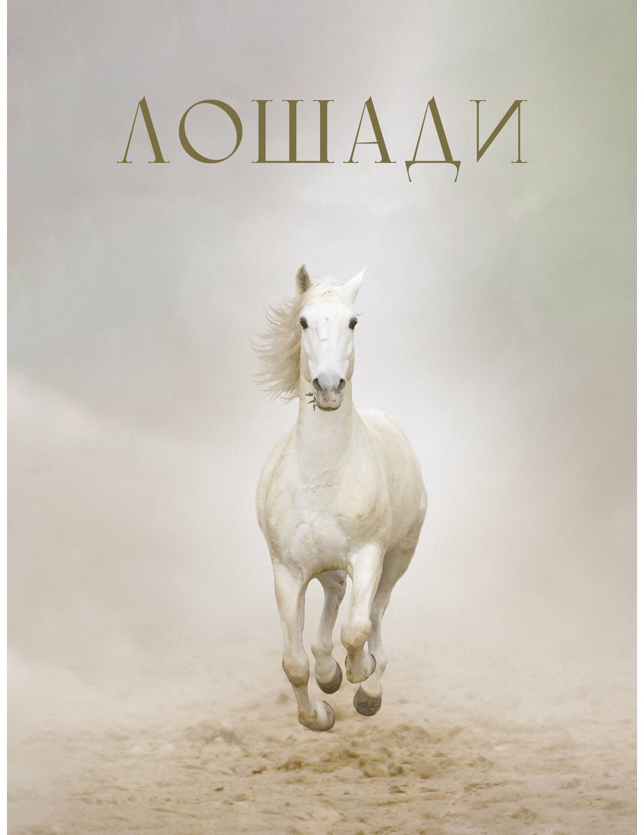 Книга Спектор А. А.: Лошади купить,NaN
