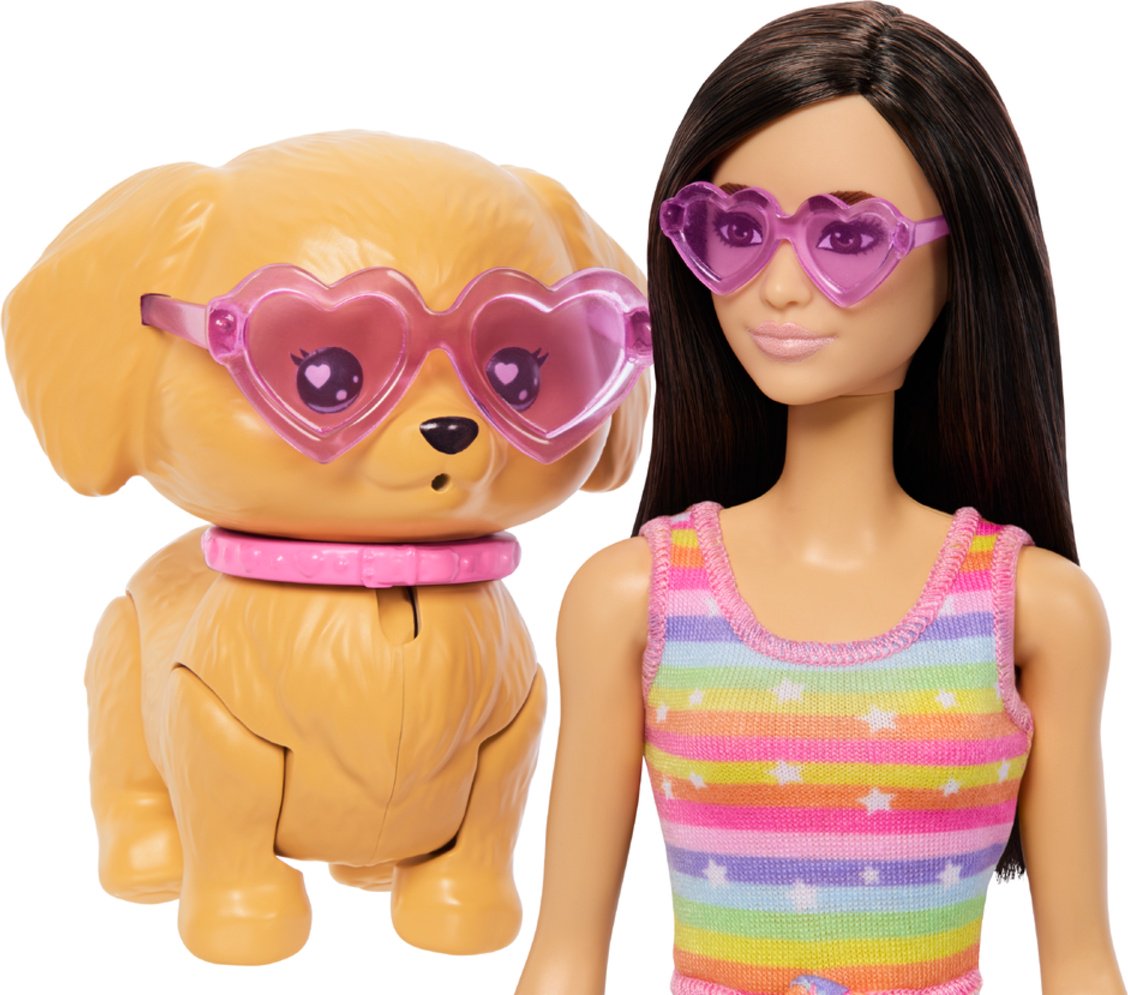 Кукла-модель Barbie Skate and Run Pup 29 см купить,NaN