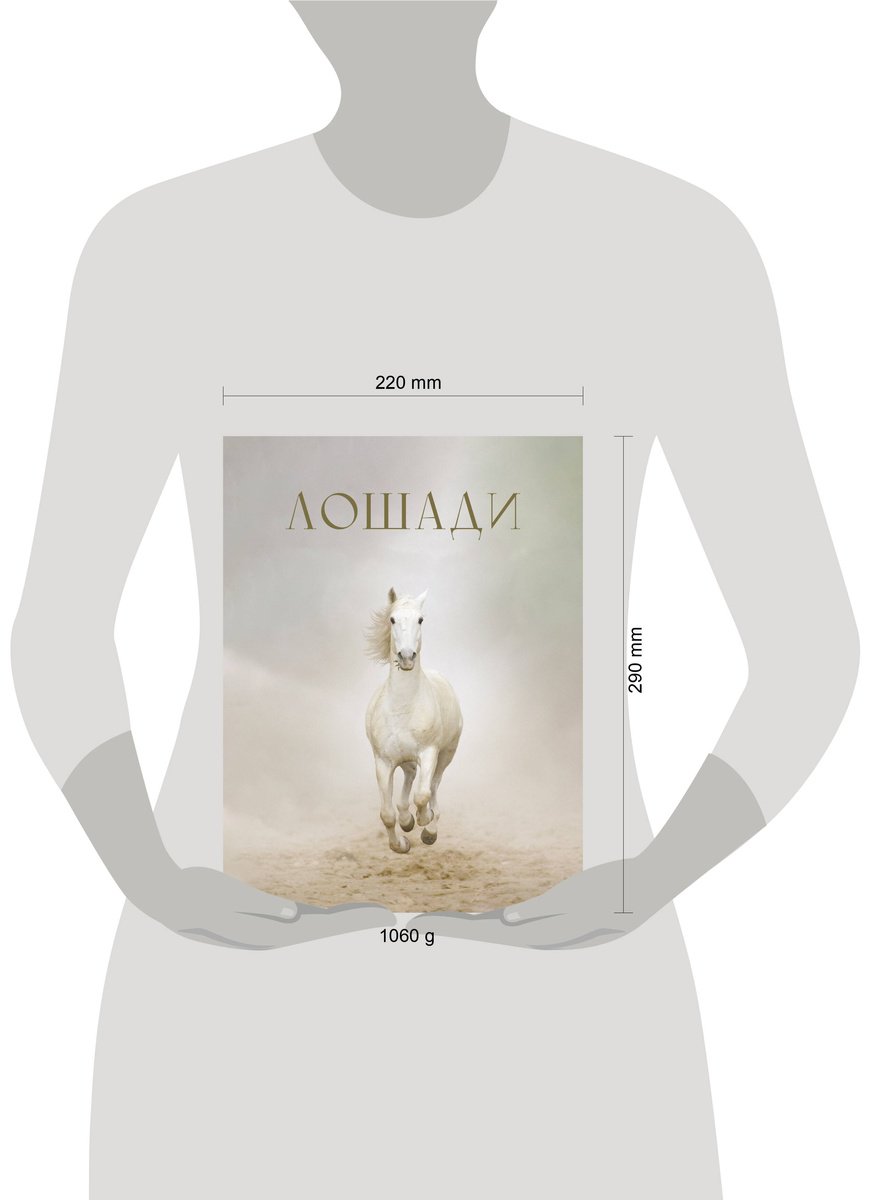 Книга Спектор А. А.: Лошади купить,NaN