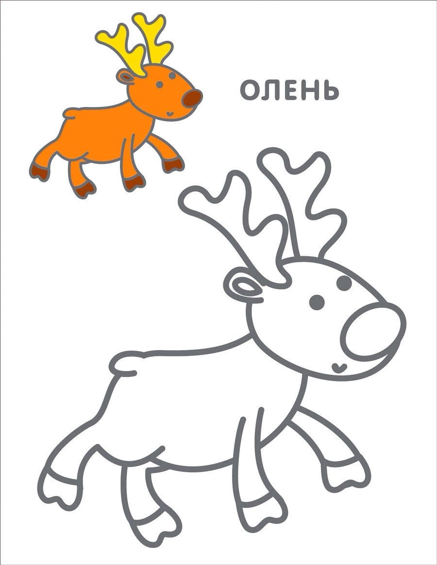 Робинс Самые первые раскраски 3+ купить,NaN