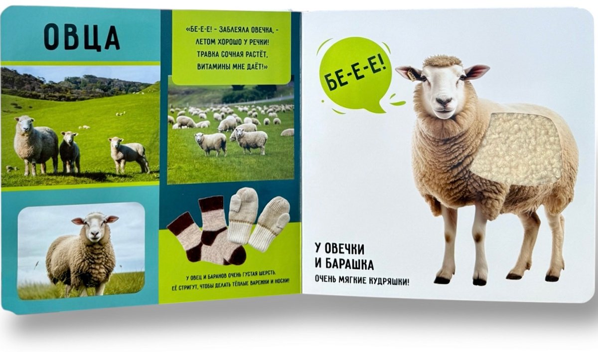 Книга Коллектив авторов: На ферме купить,NaN