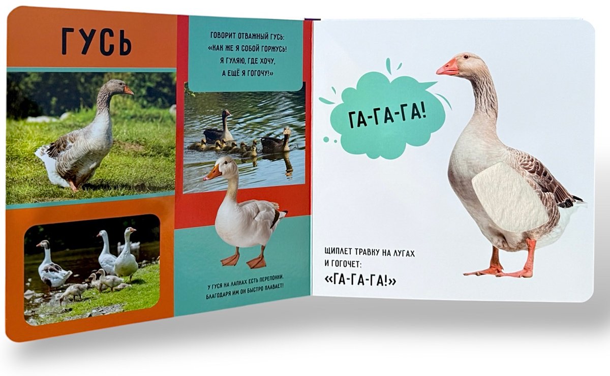 Книга Коллектив авторов: На ферме купить,NaN