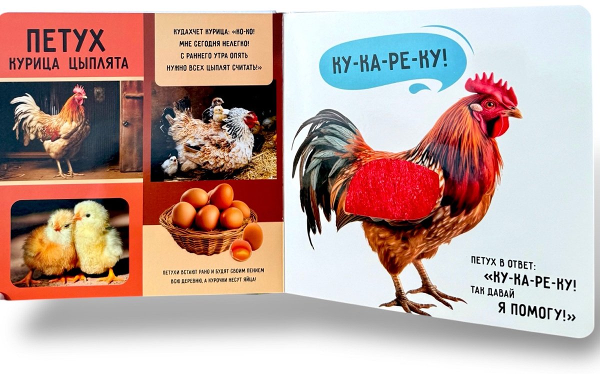 Книга Коллектив авторов: На ферме купить,NaN