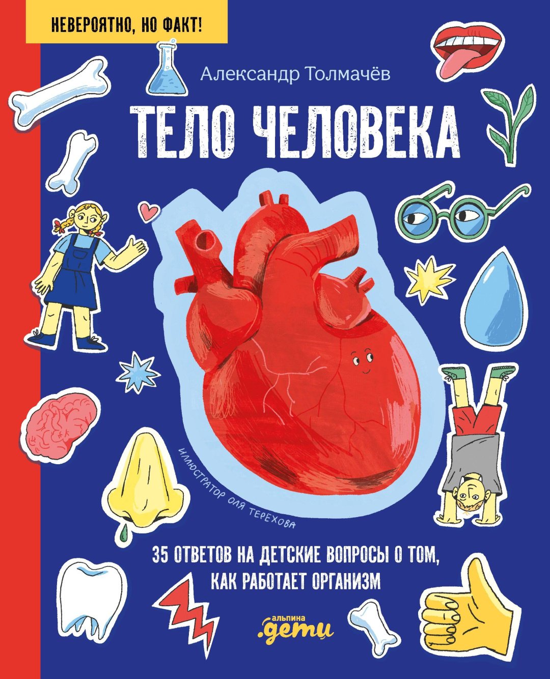 Книга Толмачёв А., Терехова О.: Толмачёв А., Терехова О.: Тело человека. 35 ответов на детские вопросы о том, как работает организм купить,NaN