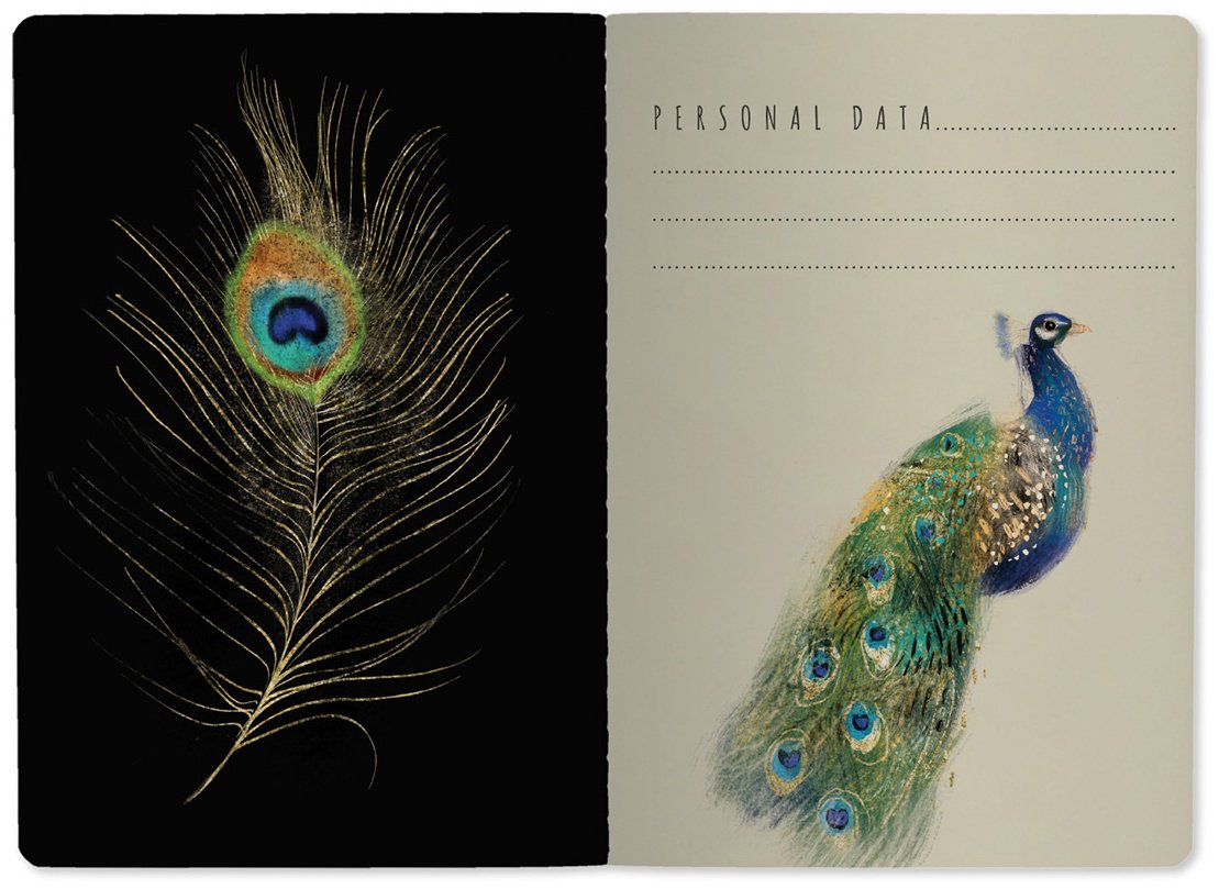 Общая тетрадь Bruno Visconti FAUNA, 40 л, А5, линейка, мягкая обложка, 1 шт купить,NaN