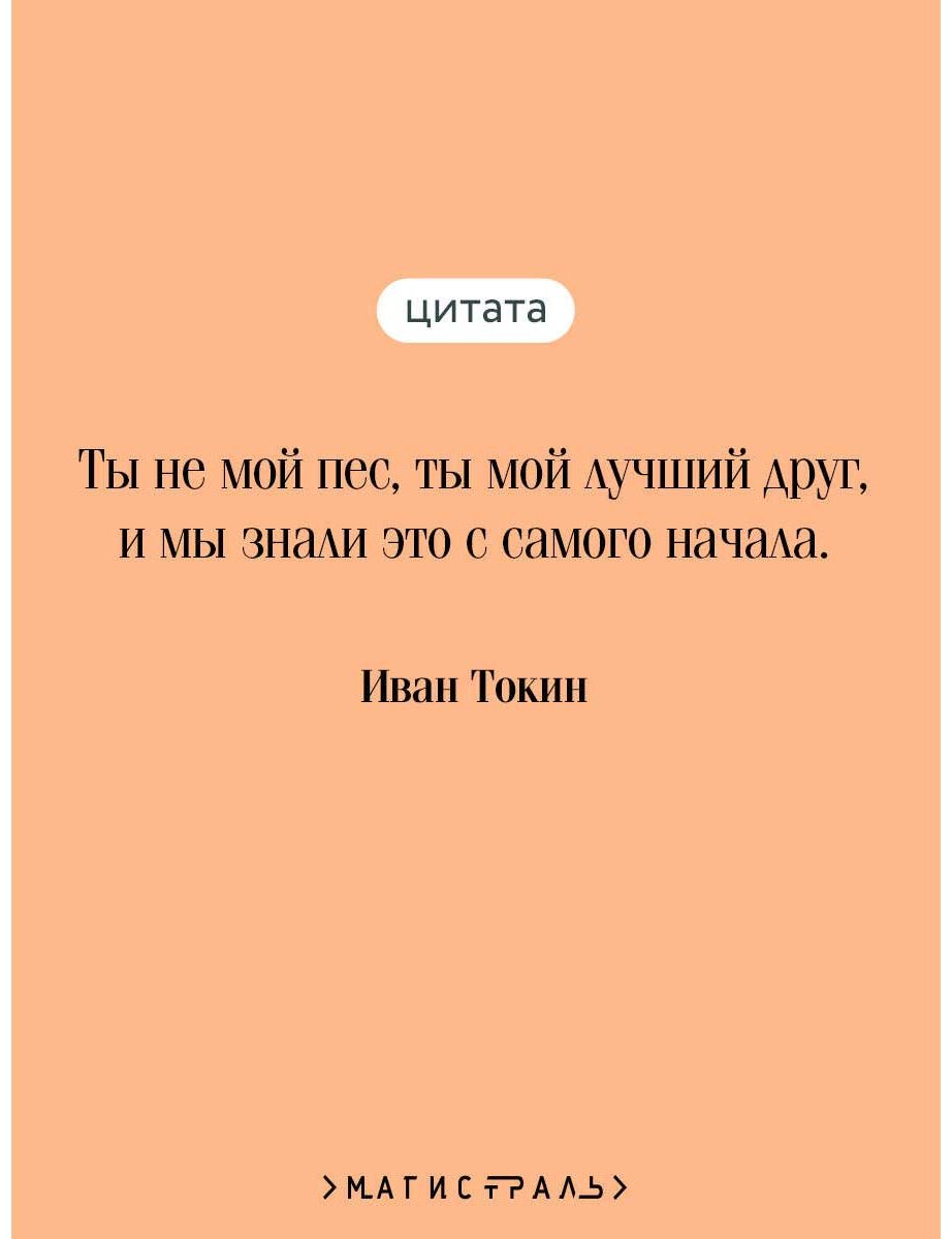 Книга Токин И.: Пес купить,NaN