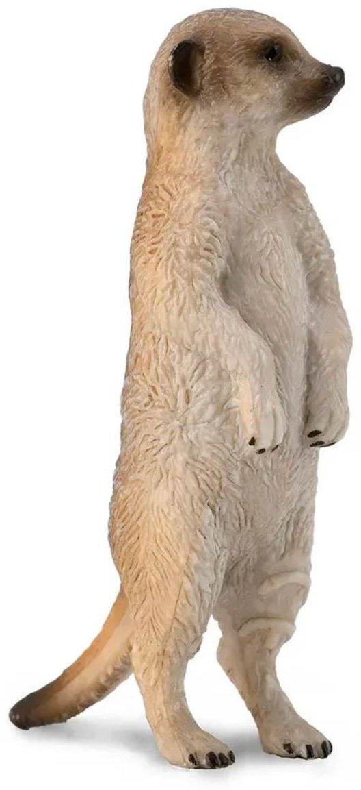 Collecta Сурикат 6 см 1 шт купить,NaN
