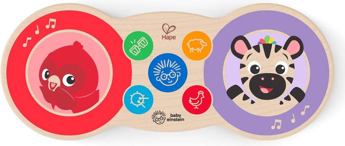 Музыкальный инструмент Hape Волшебное прикосновение купить,NaN