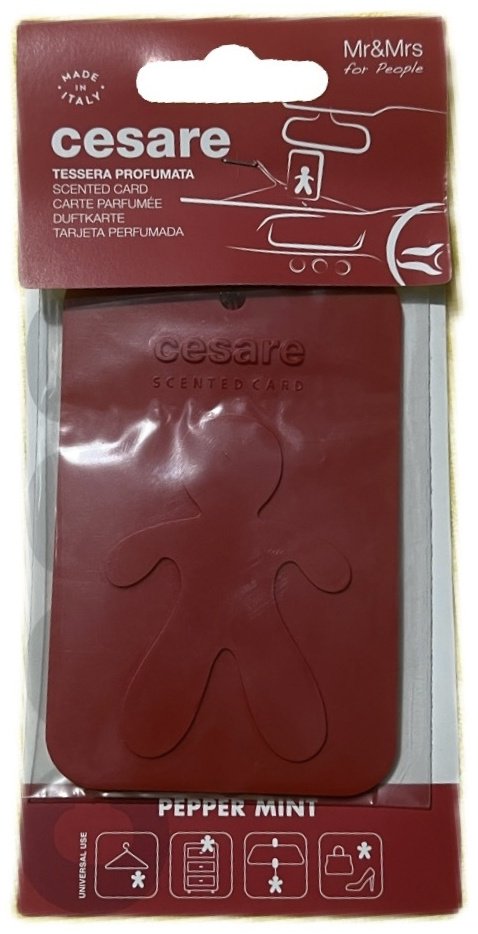 Mr&Mrs Fragrance ароматизатор пластиковый MRMRS02 Cesare Pepper mint купить,NaN