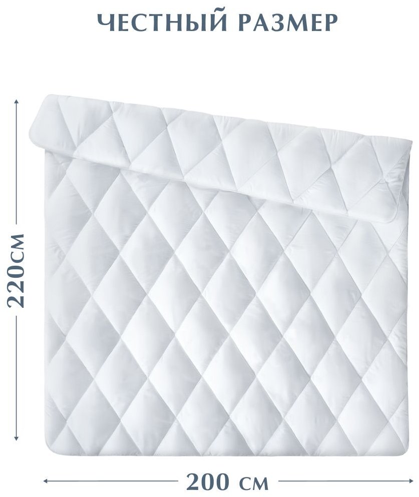 Одеяло Guten Morgen Мила/Пышное/300гр/м2 200x220 всесезонное