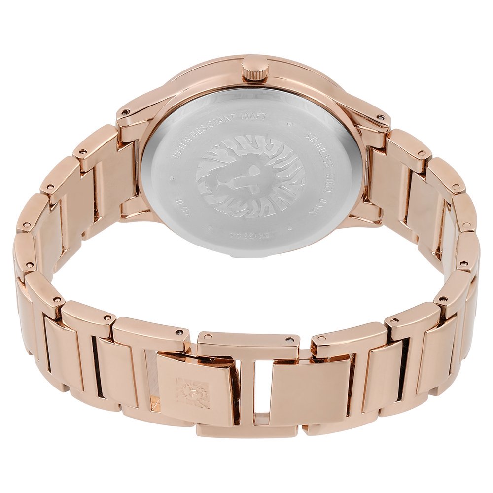 Часы Anne Klein AK3416SVRG