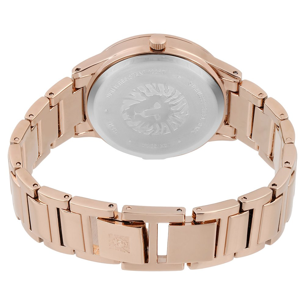 Часы Anne Klein AK3416SVRG купить,NaN
