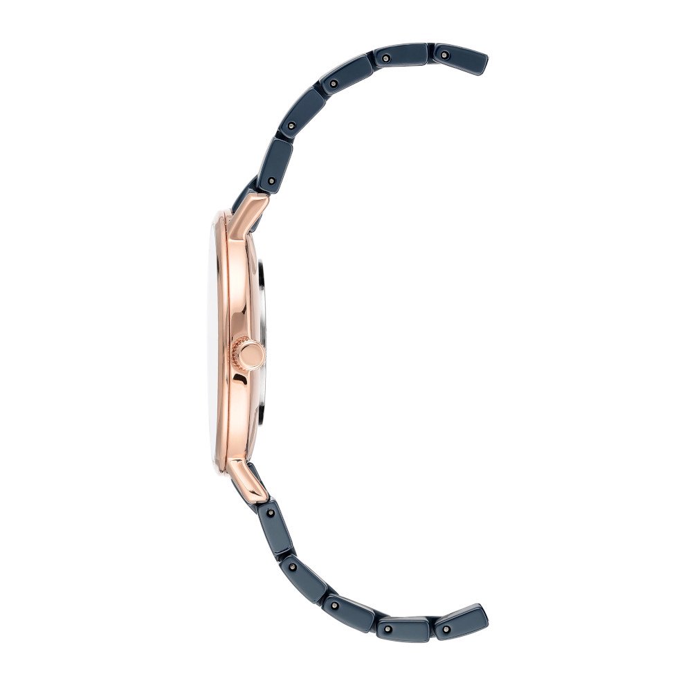 Часы Anne Klein AK3718NVRG купить,NaN