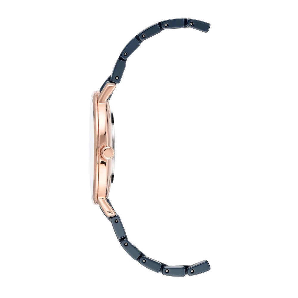 Часы Anne Klein AK3718NVRG купить,NaN