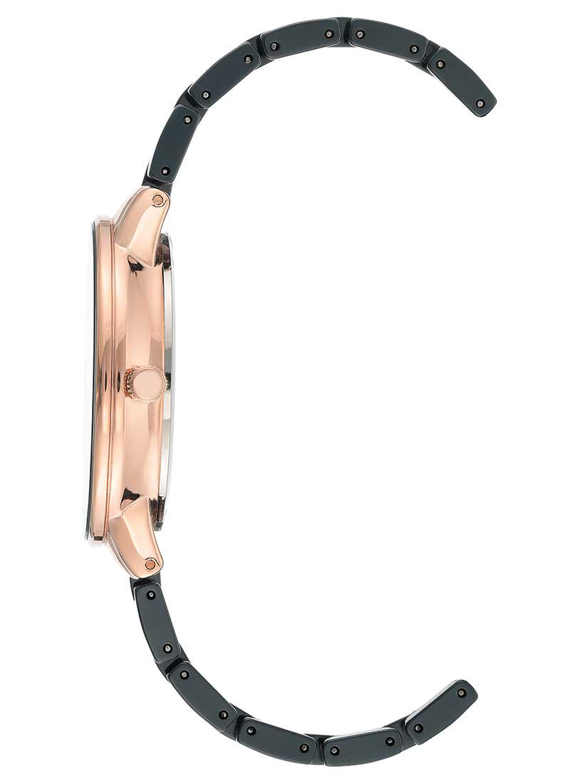 Часы Anne Klein AK3502NVRG купить,NaN
