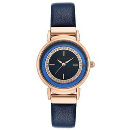 Часы Anne Klein AK3720RGNV