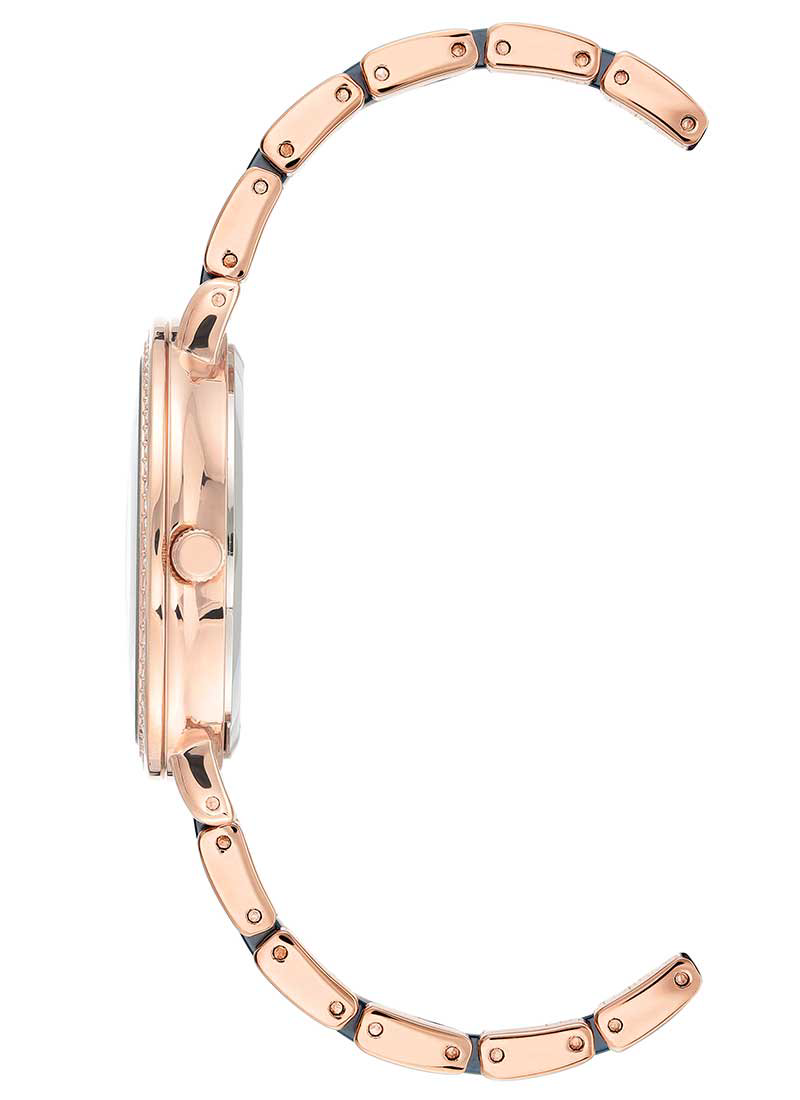 Часы Anne Klein AK3810DBRG купить,NaN
