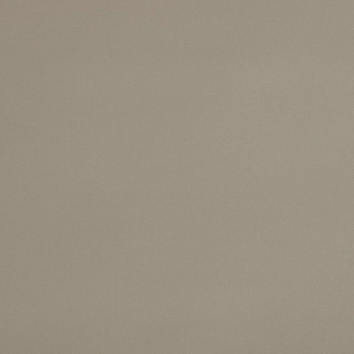 Рулонная штора Franc Gardiner Glasgow 60х160см какао