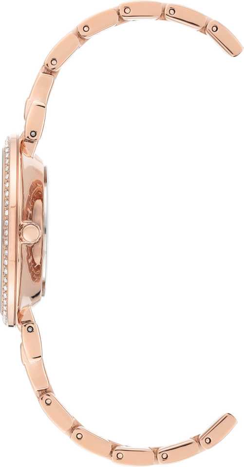 Часы Anne Klein AK3632MPRG купить,NaN