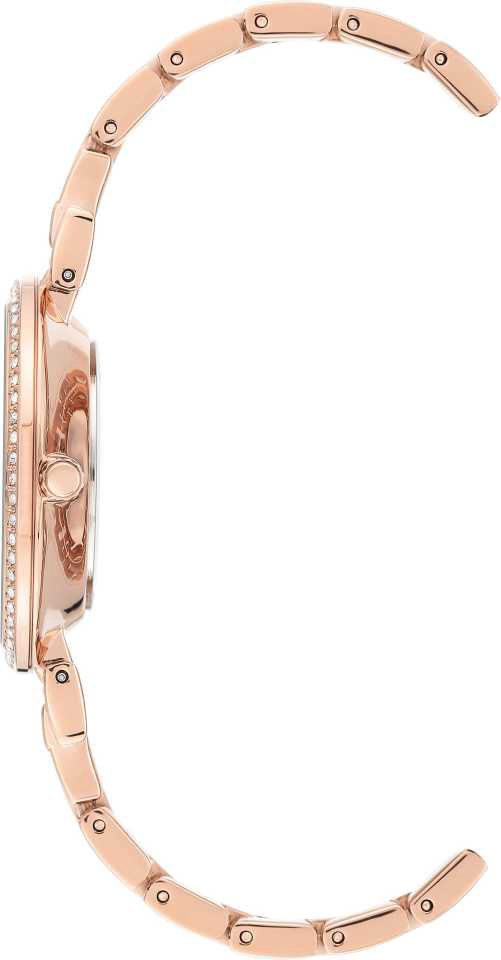 Часы Anne Klein AK3632MPRG купить,NaN