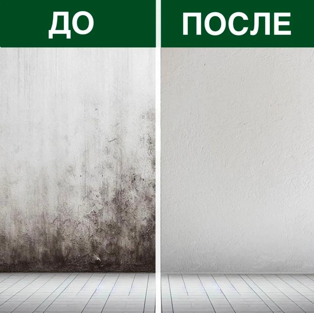 Средство против черной плесени и грибка, спрей, 500 мл купить,function inputValueFn(){if((0,signal2.mK)(node),node.value===REQUIRED_UNSET_VALUE)throw new root_effect_scheduler.buA(-950,null);return node.value}