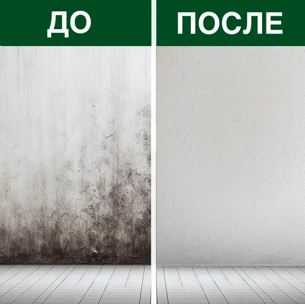 Средство против черной плесени и грибка, спрей, 500 мл купить,NaN