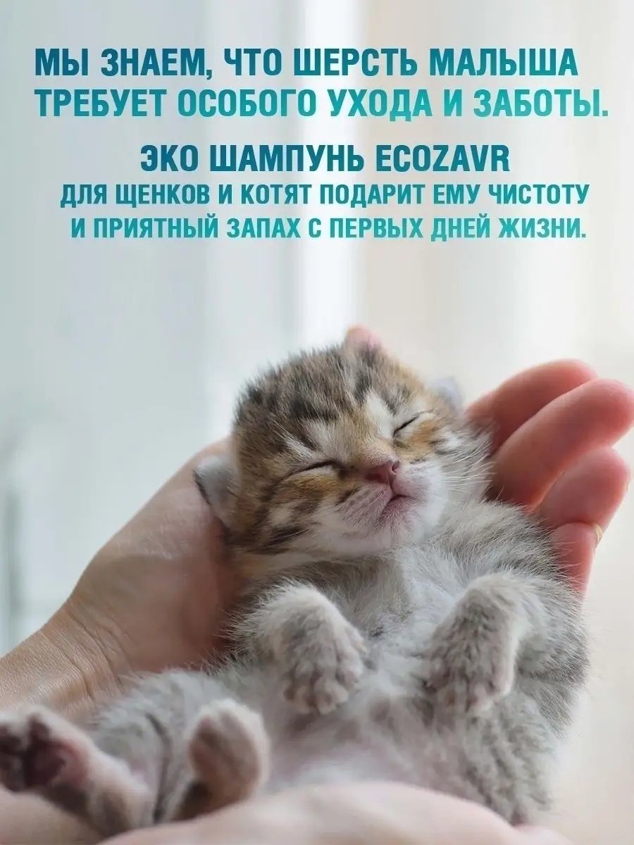 Уход ECOZAVR Шампунь с антибактериальным эффектом, экстракт зеленого чая&#43;ионы серебра, для щенков и котят 500 мл
