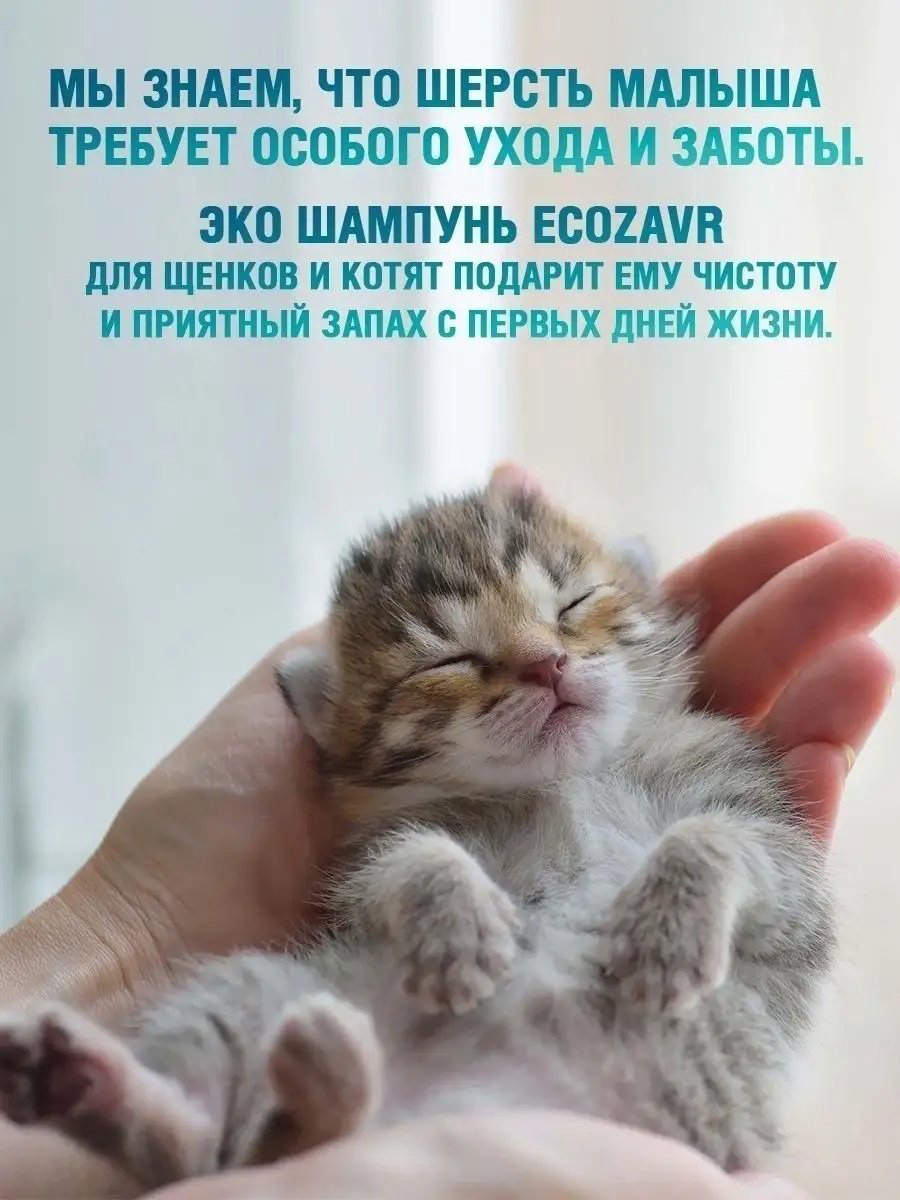 Уход ECOZAVR Шампунь с антибактериальным эффектом, экстракт зеленого чая+ионы серебра, для щенков и котят 500 мл купить,NaN