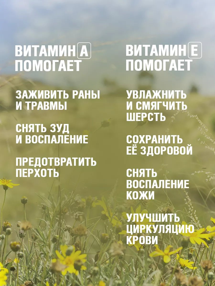 Уход ECOZAVR Шампунь с пантенолом для собак 500 мл