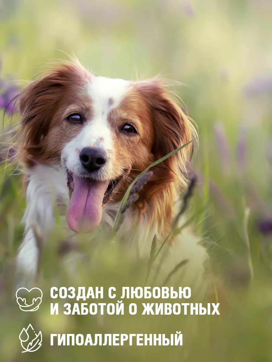 Уход ECOZAVR Шампунь с пантенолом для собак 500 мл