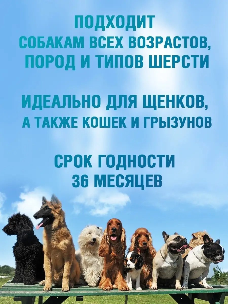 Уход ECOZAVR Шампунь с антибактериальным эффектом, экстракт календулы&#43;ионы серебра, для собак 500 мл