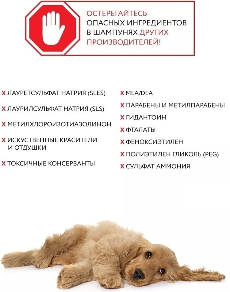 Уход ECOZAVR Алоэ 500 мл