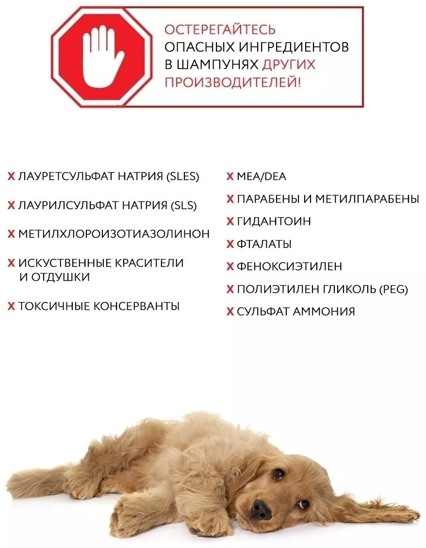 Уход ECOZAVR Шампунь с антибактериальным эффектом, экстракт алоэ&#43;ионы серебра, для собак 500 мл