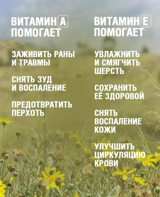 Уход ECOZAVR с пантенолом 500 мл купить,NaN