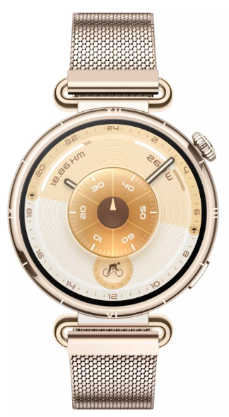 Смарт-часы Huawei Watch GT 6 KSU-B19 41mm Gold