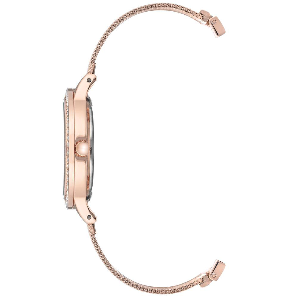 Часы Anne Klein AK3166INST купить,NaN